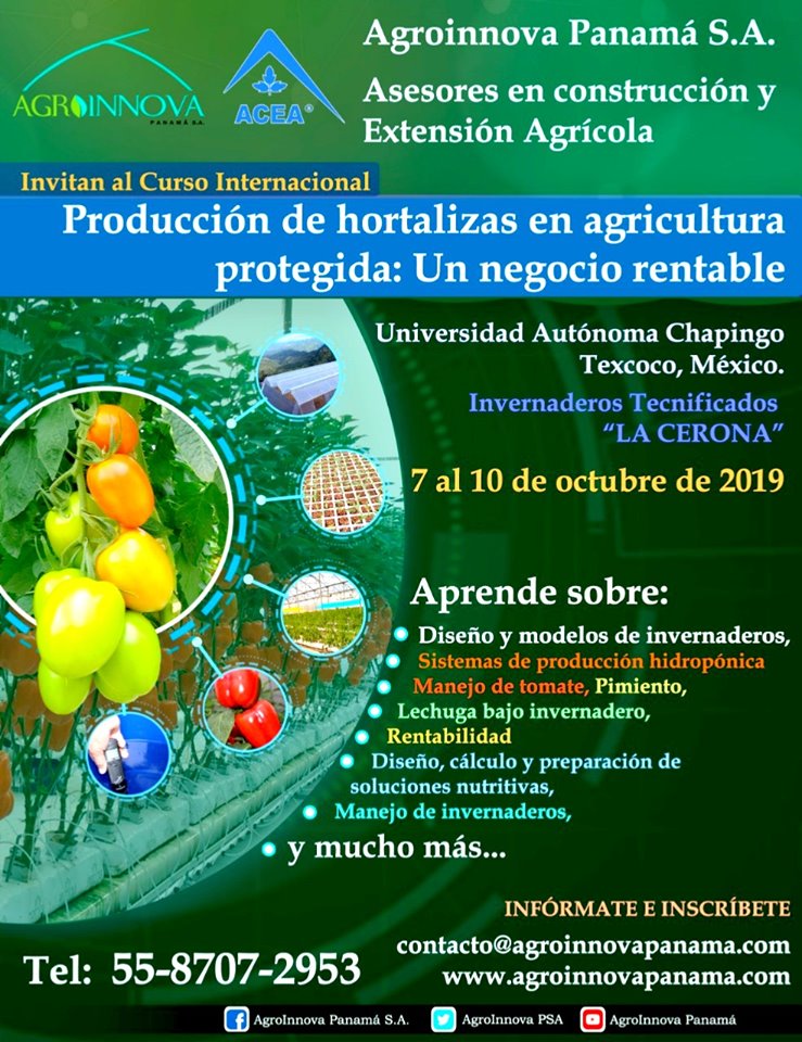 curso internacional produccion hortalizas